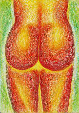 Gluteus maximus