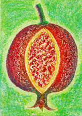 Vorschau: P6180362-Granatapfel_(Punica_granatum)_g
