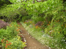 Blandy's Garden, Madeira