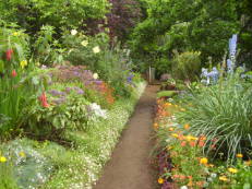 Blandy's Garden, Madeira