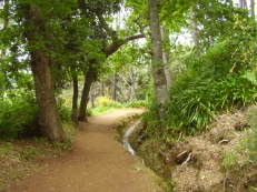 Entlang der Levada