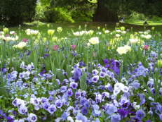 Frühling im Hermannshof