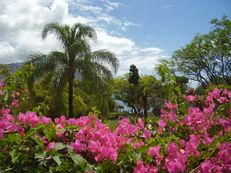 Santa Catarina Park, Funchal