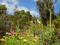 Palheiro Gardens (Blandy's Garden), Madeira