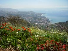 Blick auf Câmara de Lobos