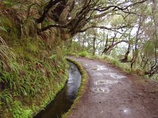 Rabaçal, Madeira