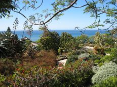 Magic Garden, Madeira