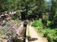 Levada do Norte, Madeira