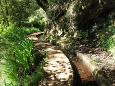 Levada do Rei, Madeira