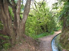 Levada do Rei, Madeira