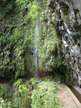 Levada do Rei, Madeira