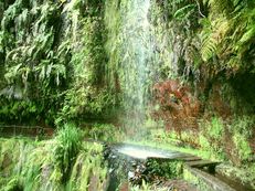 Levada do Rei, Madeira