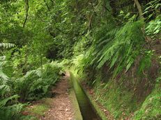 Levada do Rei, Madeira