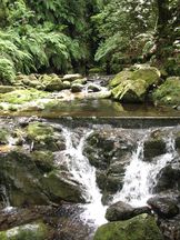 Ribeiro Bonito, Madeira