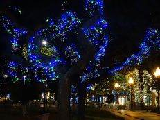 Weihnachtsbeleuchtung in Funchal