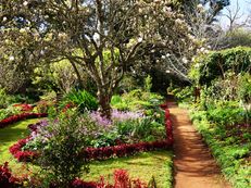 Frühling in Palheiro Gardens