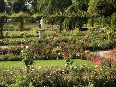 Rosengarten Insel Mainau II