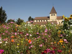 Vorschau: DSC03626_A_Kirche_St_Georg_Insel_Reichenau_g